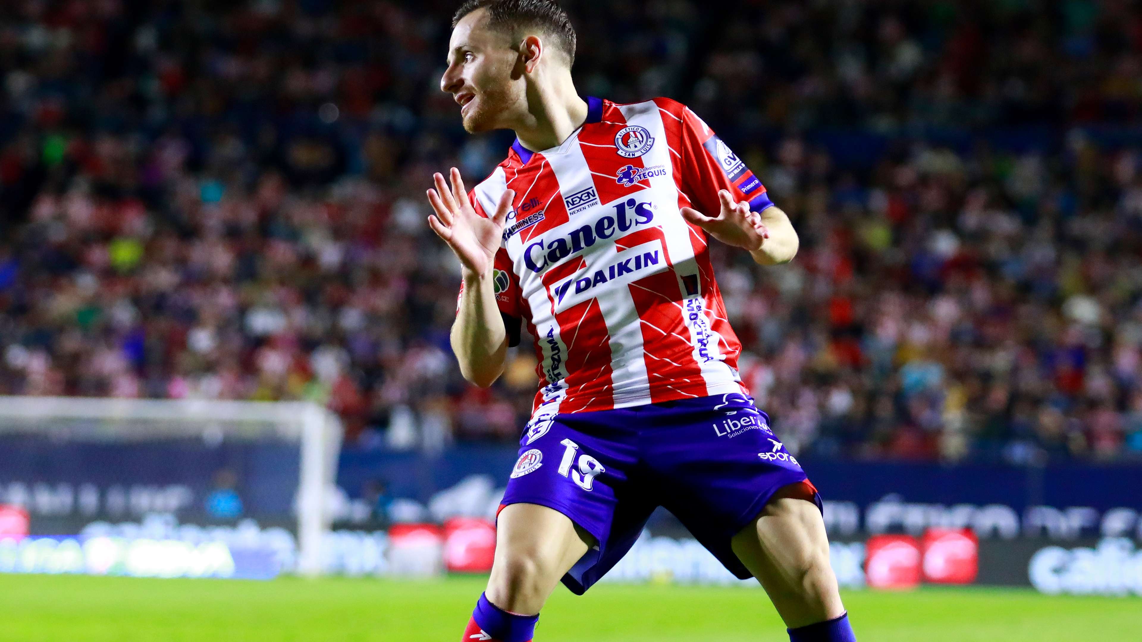 的新篇章 的新篇章